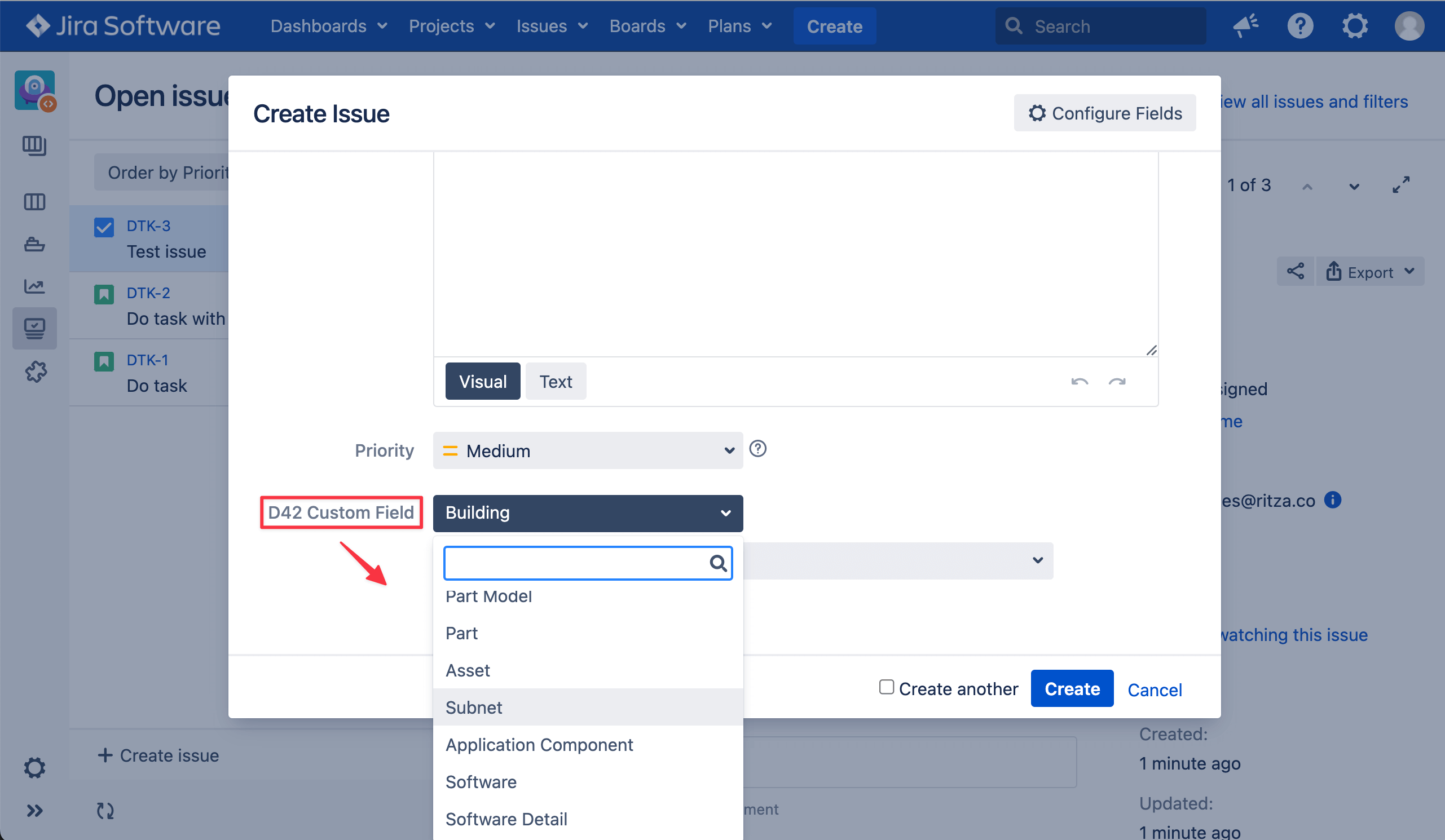Custom field CI options